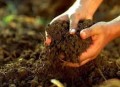 „Földet a gazdáknak!” program: árverések lesznek